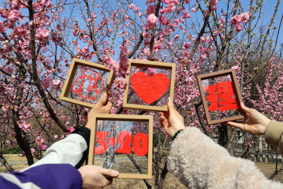 【6165金沙总站】“纸上生花，剪出精彩”3.20心理剪纸艺术活动顺利举办